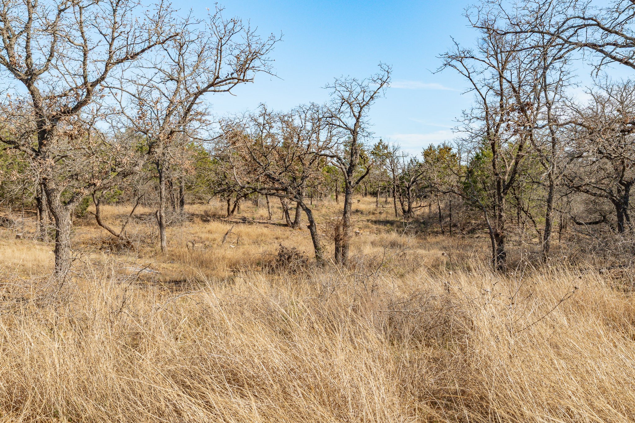 3201 County Road 120 Gordon TX 76453