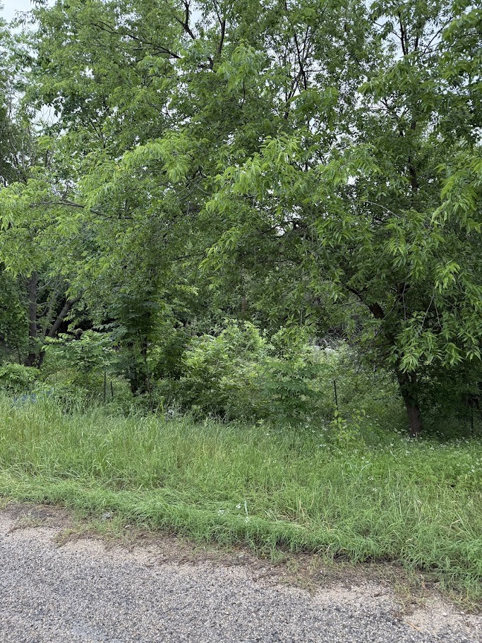 7419 Cottonwood Creek Road Fort Worth TX 76135