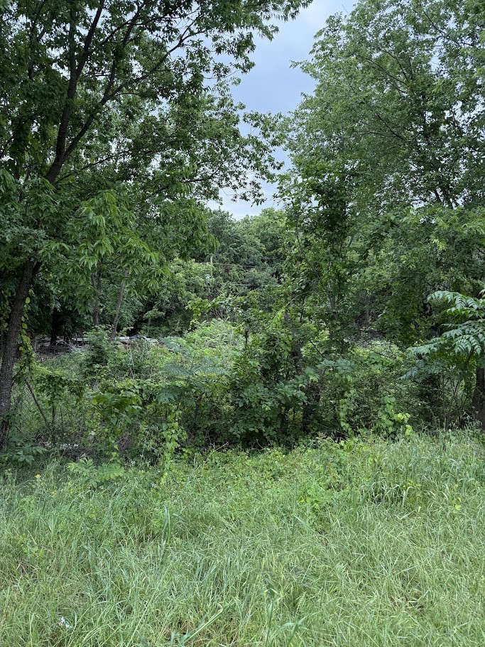 7419 Cottonwood Creek Road Fort Worth TX 76135