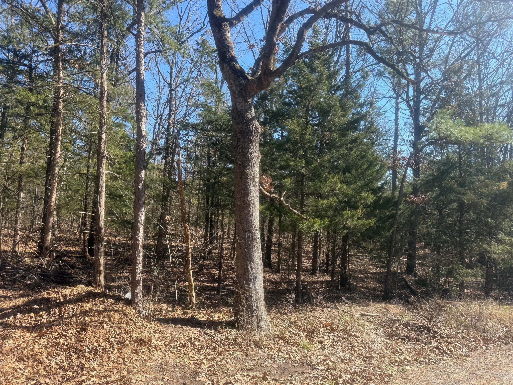 01 Fm-906 W Powderly TX 75473