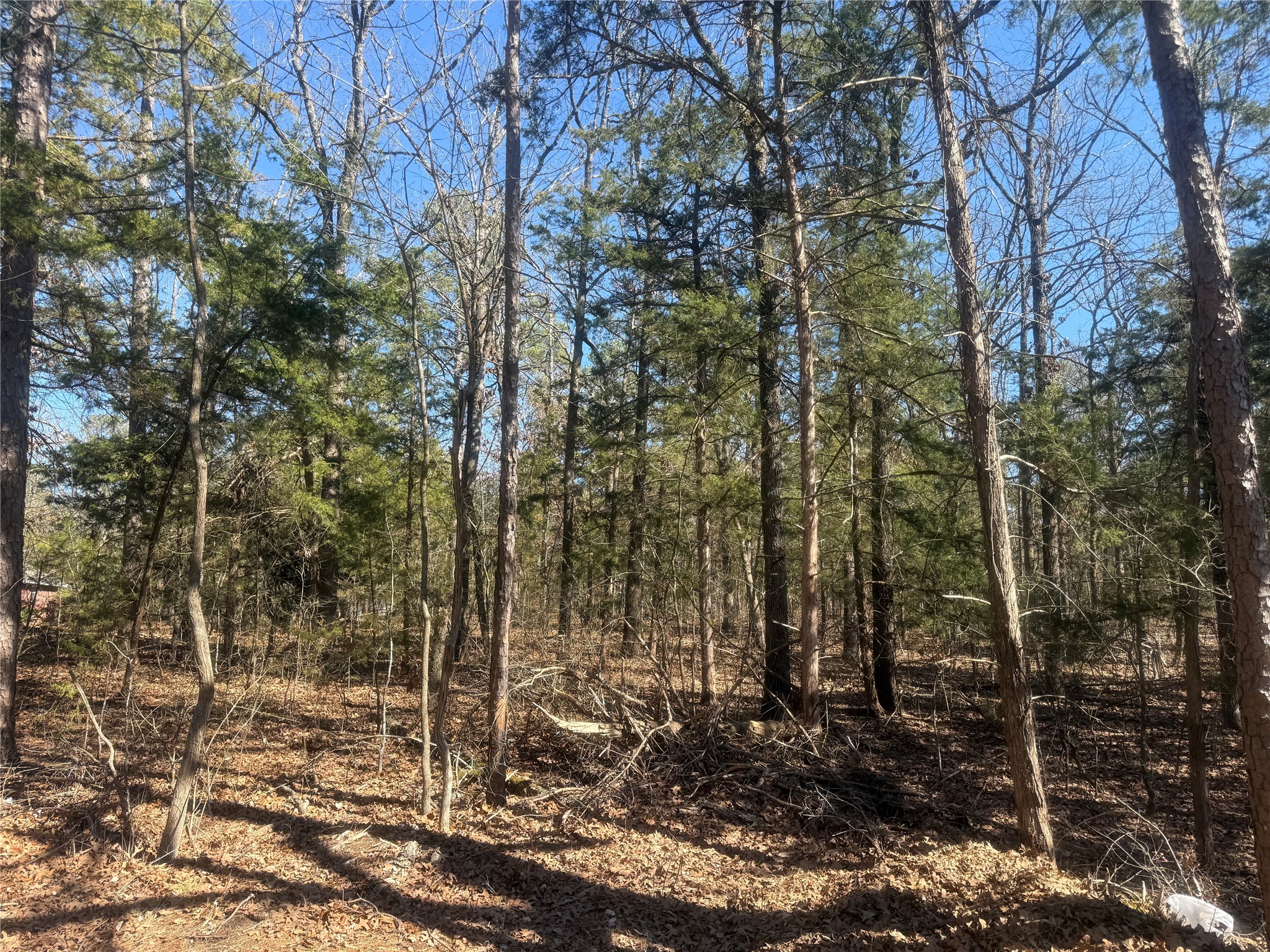 01 Fm-906 W Powderly TX 75473