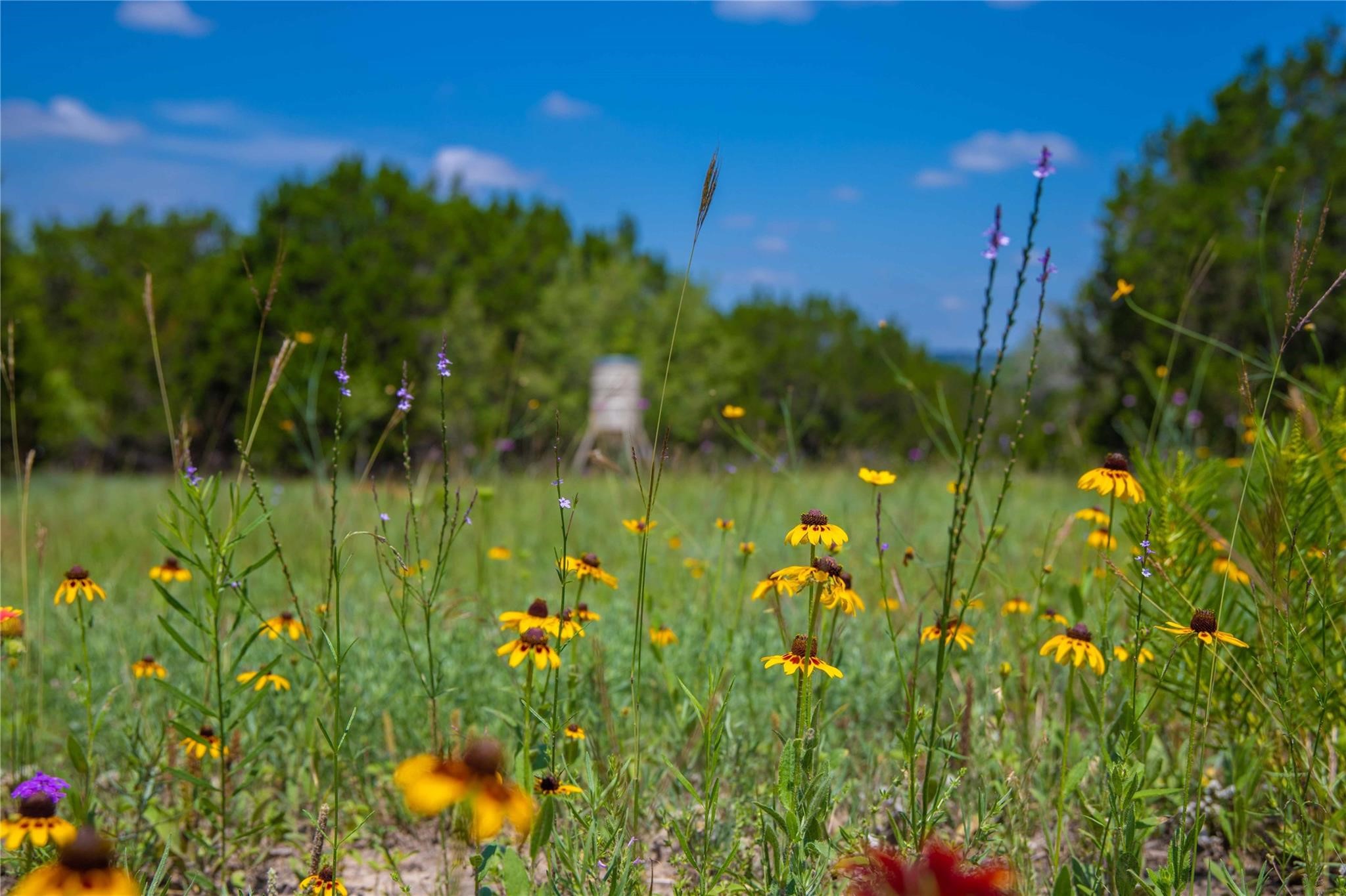 180 County Road 140 Goldthwaite TX 76844