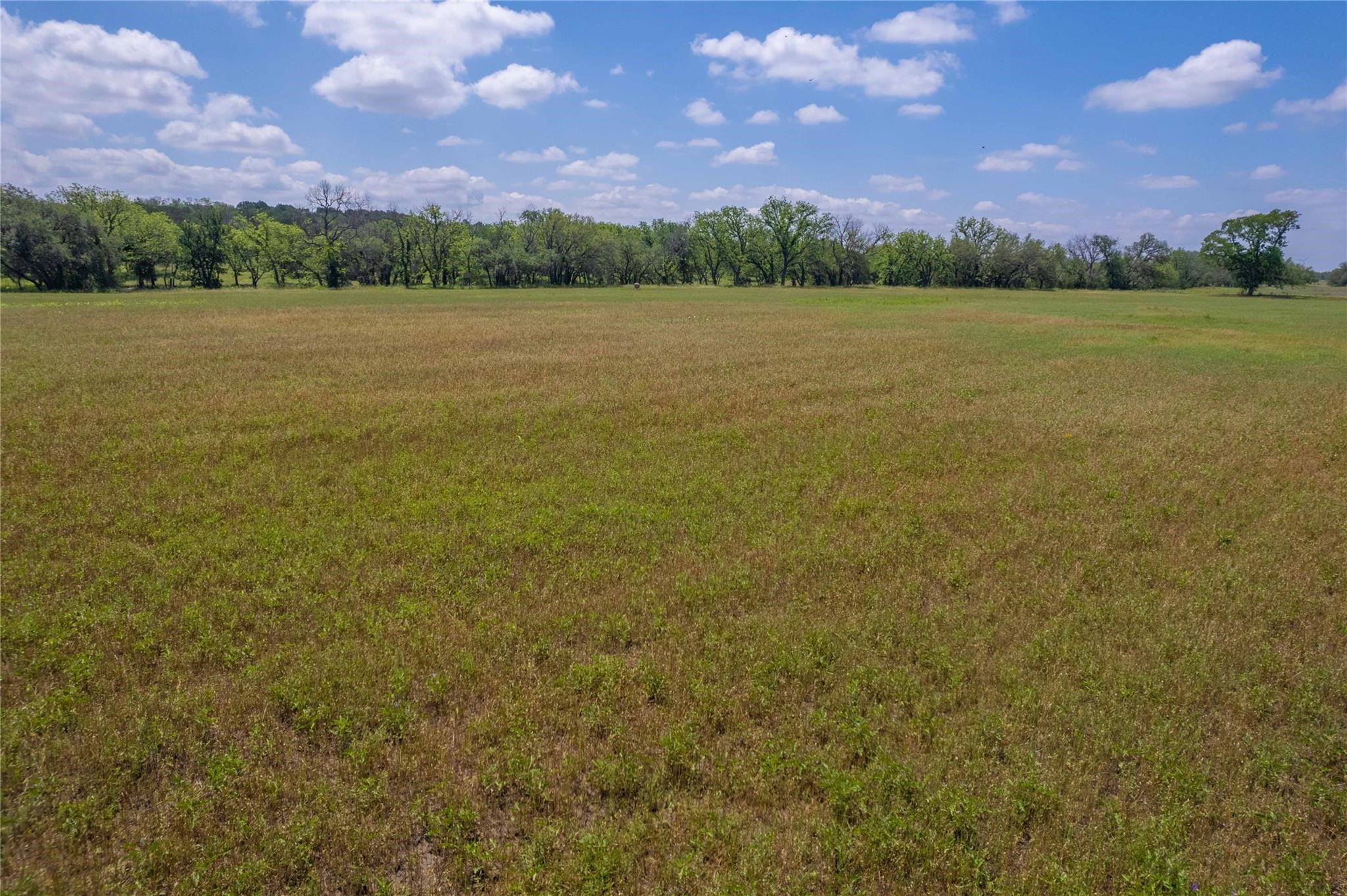 180 County Road 140 Goldthwaite TX 76844