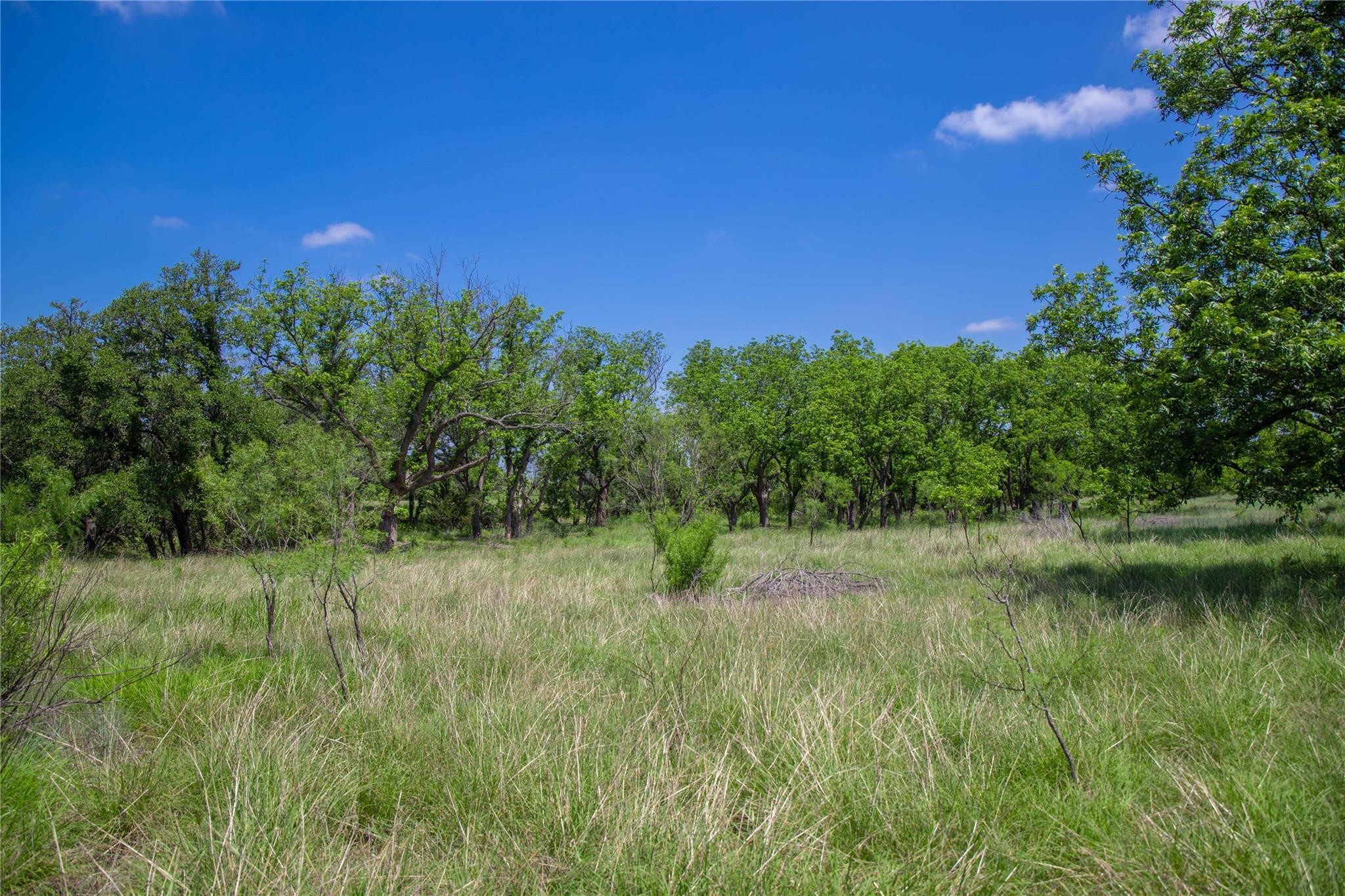 180 County Road 140 Goldthwaite TX 76844
