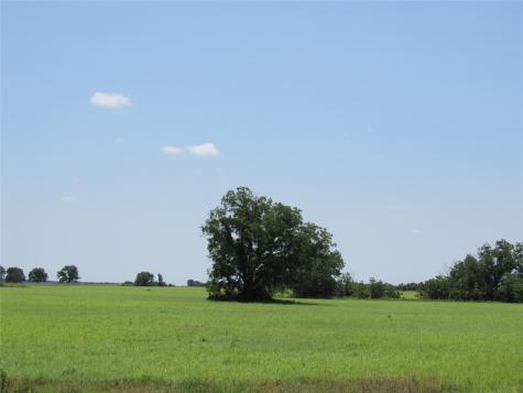TBD Co Road 295 Carbon TX 76435