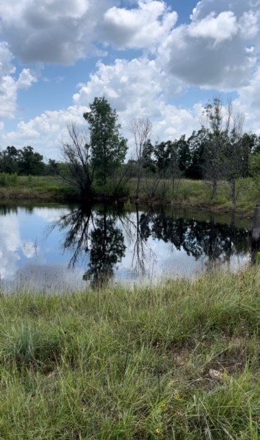 Tbd Co Road 295 Carbon TX 76435