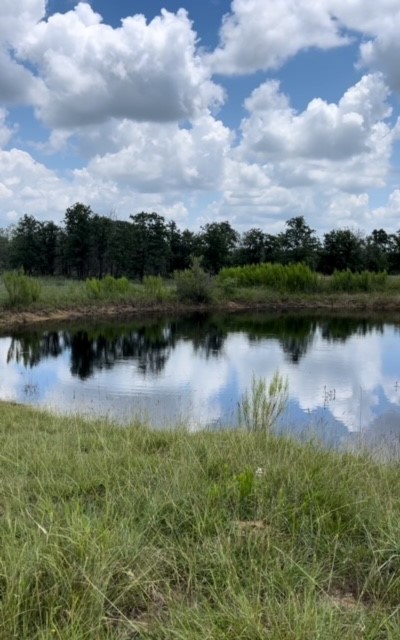 Tbd Co Road 295 Carbon TX 76435
