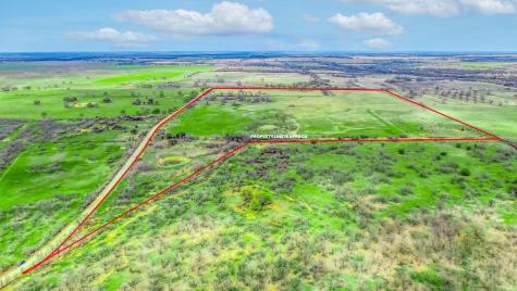 TBD Co Road 295 Carbon TX 76435