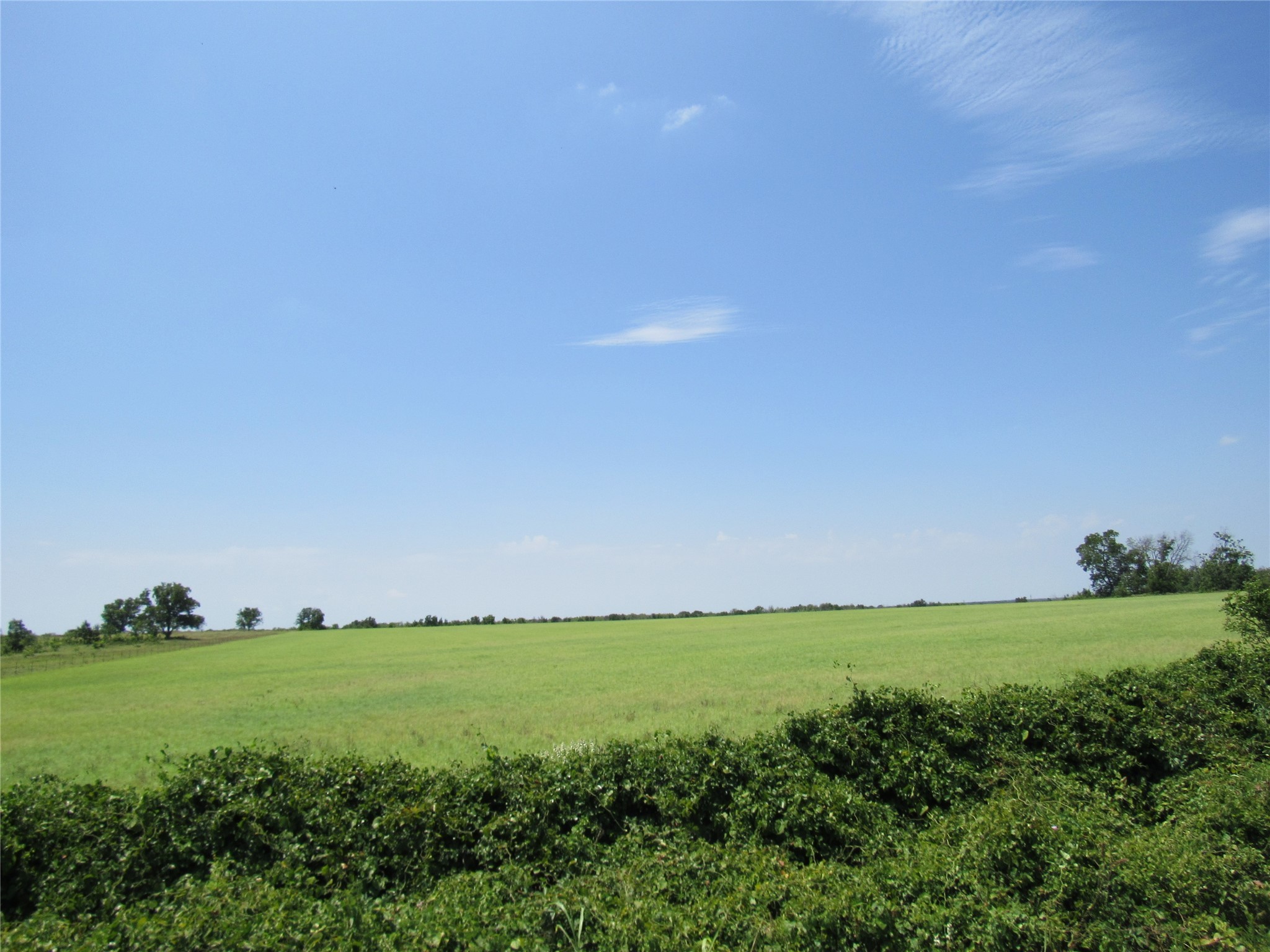 Tbd Co Road 295 Carbon TX 76435