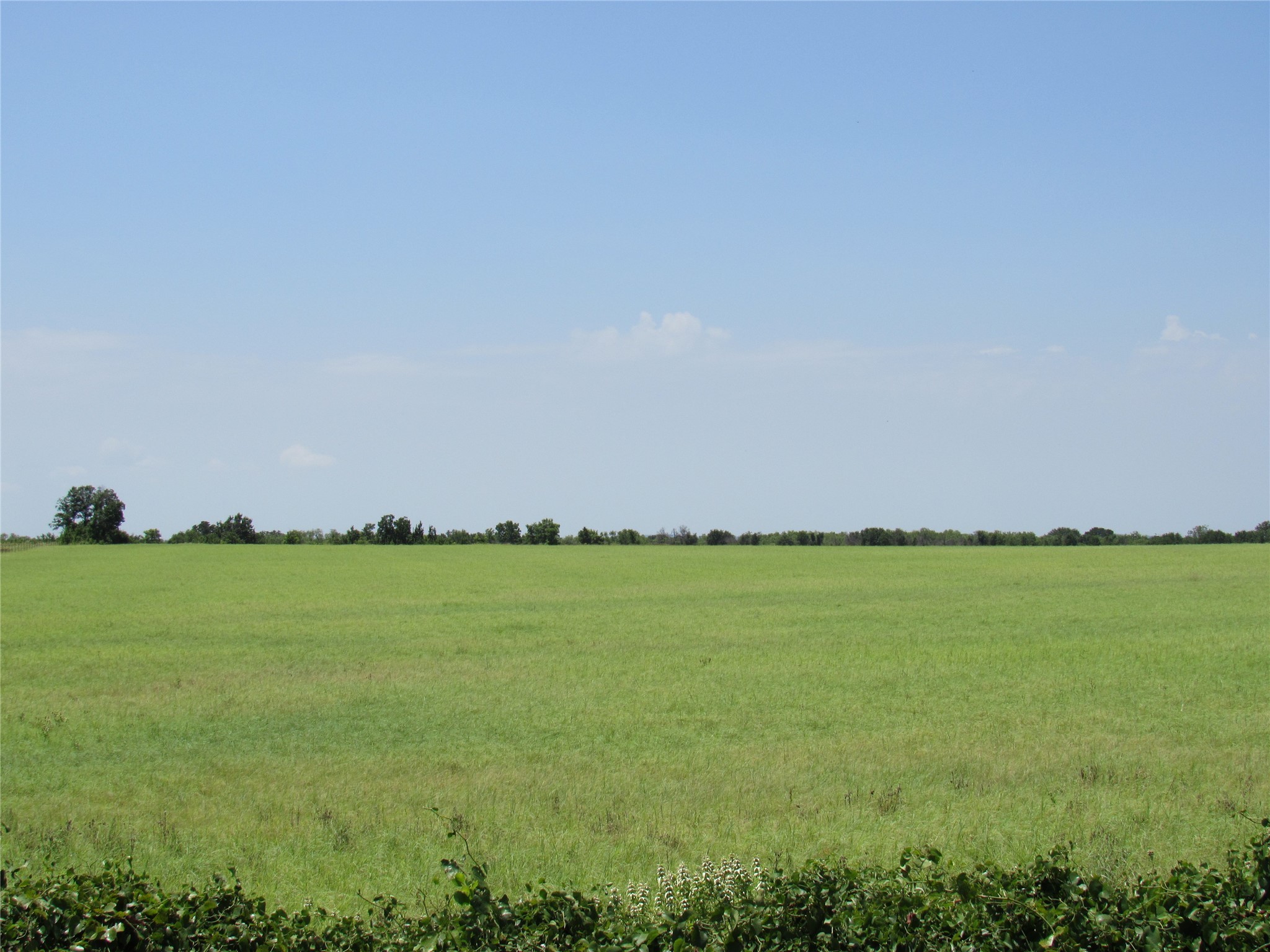 Tbd Co Road 295 Carbon TX 76435