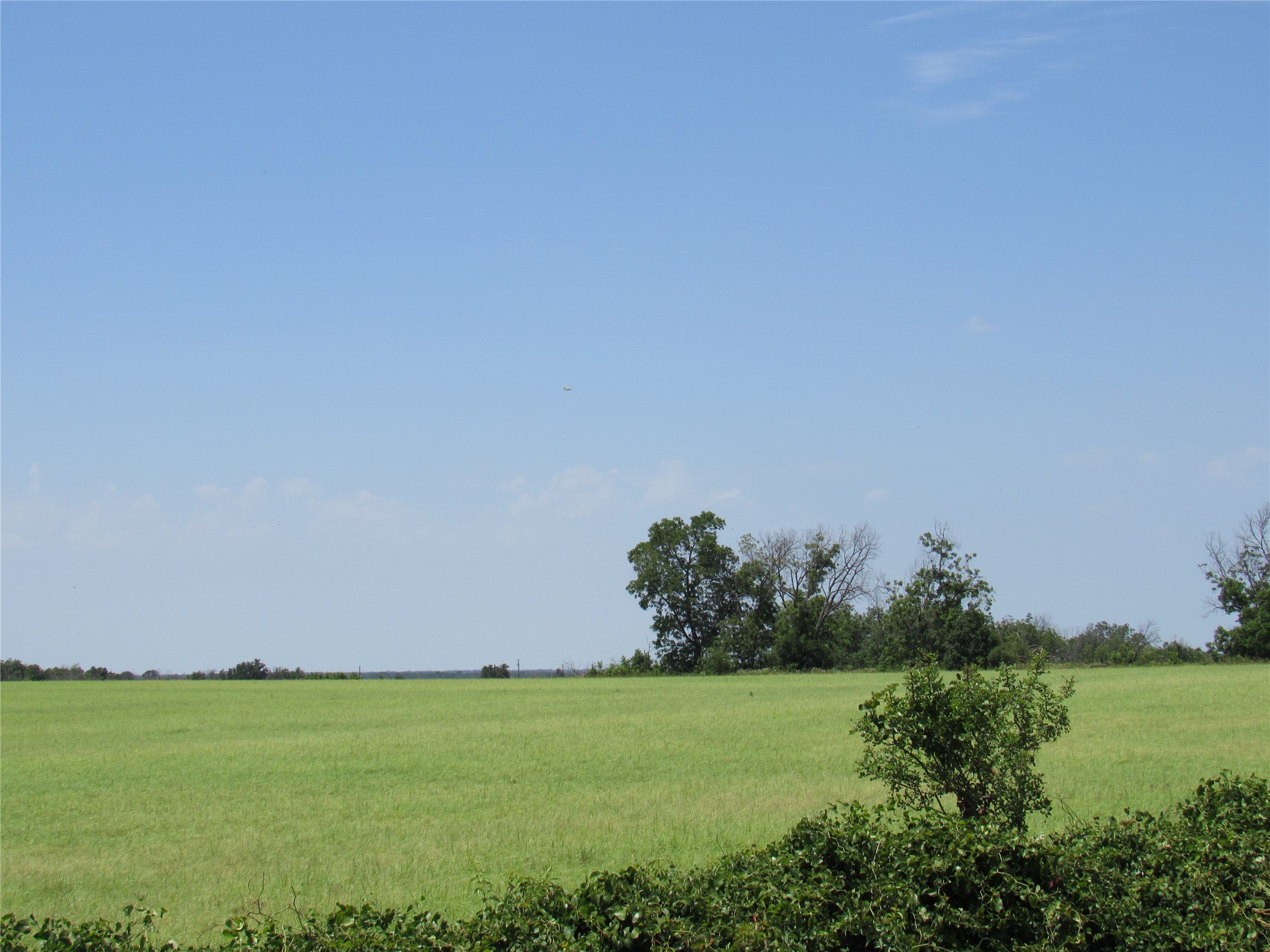 Tbd Co Road 295 Carbon TX 76435