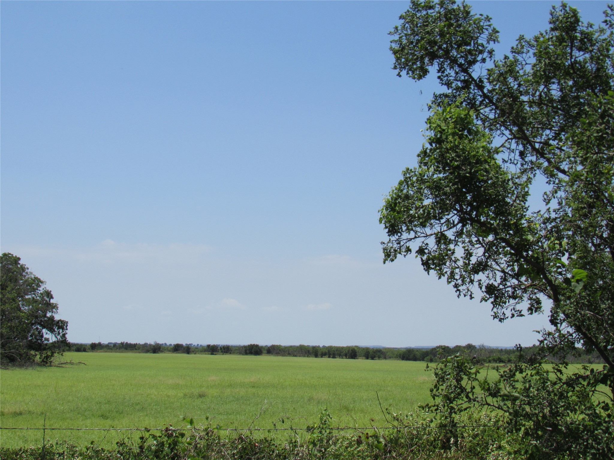 Tbd Co Road 295 Carbon TX 76435