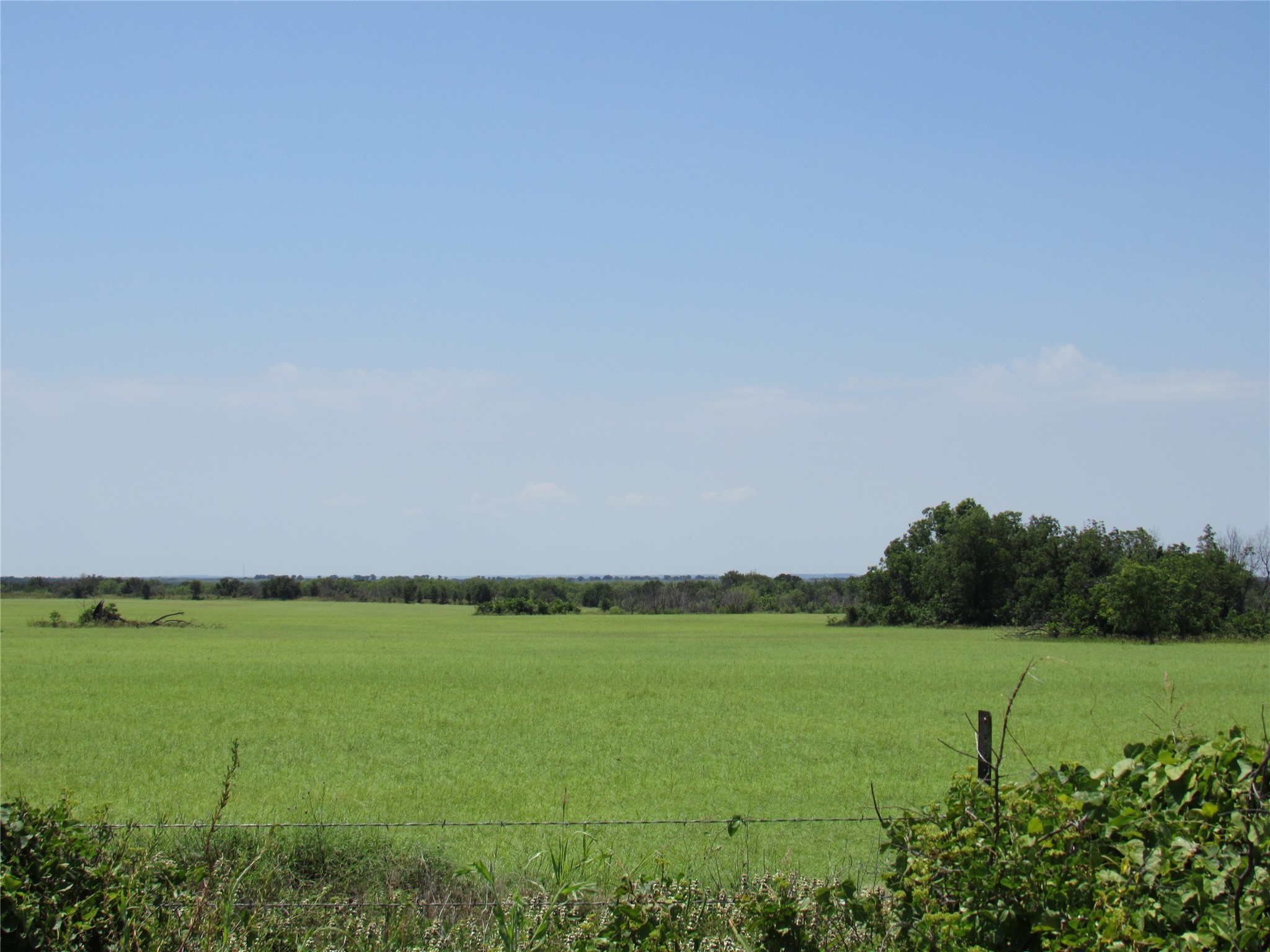 Tbd Co Road 295 Carbon TX 76435