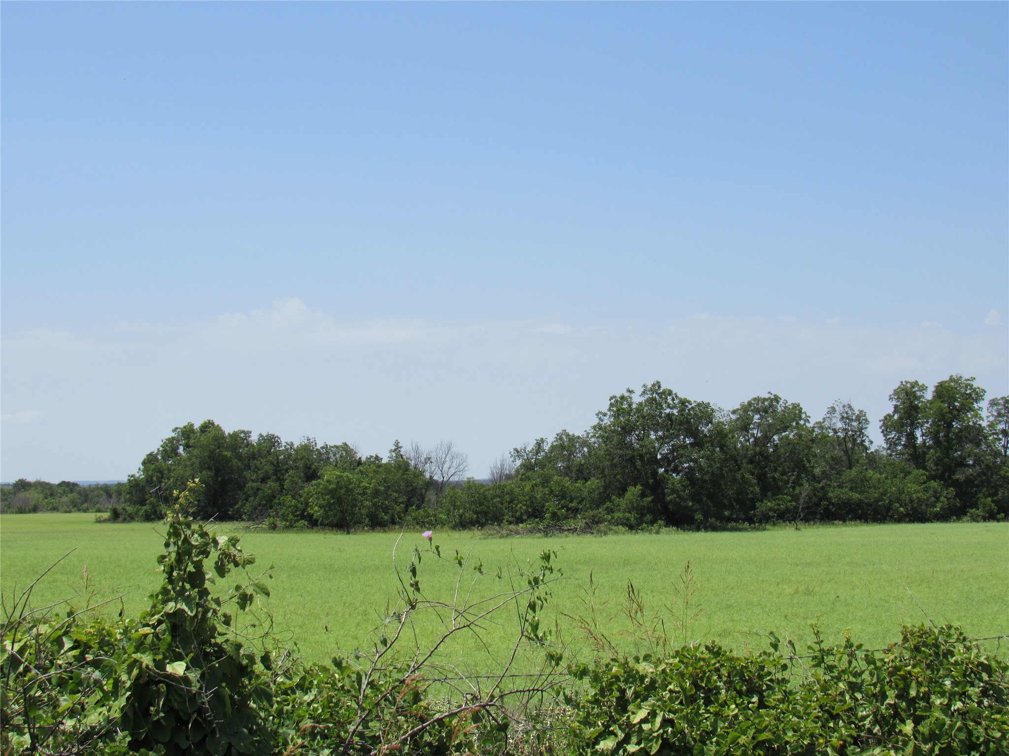 Tbd Co Road 295 Carbon TX 76435