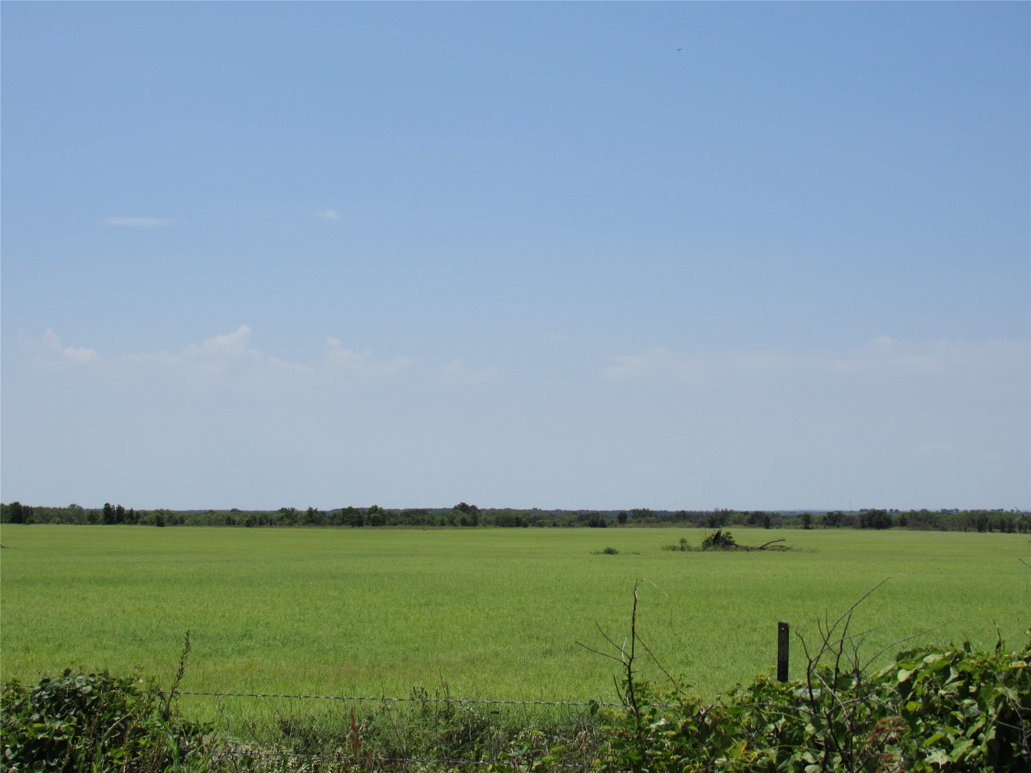 Tbd Co Road 295 Carbon TX 76435