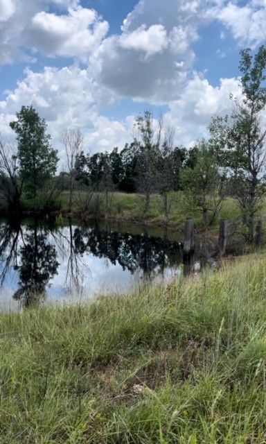 Tbd Co Road 295 Carbon TX 76435