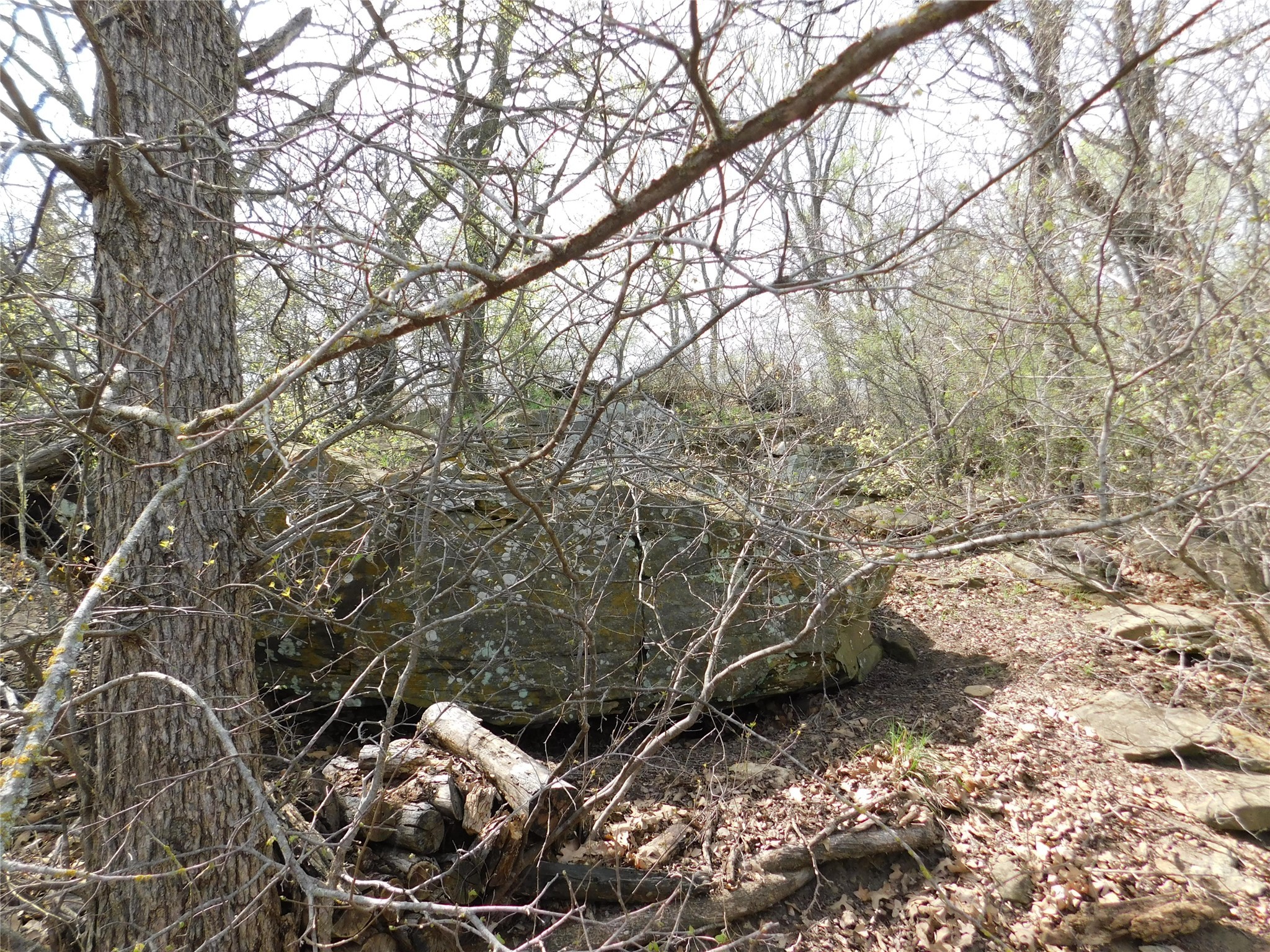 Tbd Fm 3003 Graham TX 76450