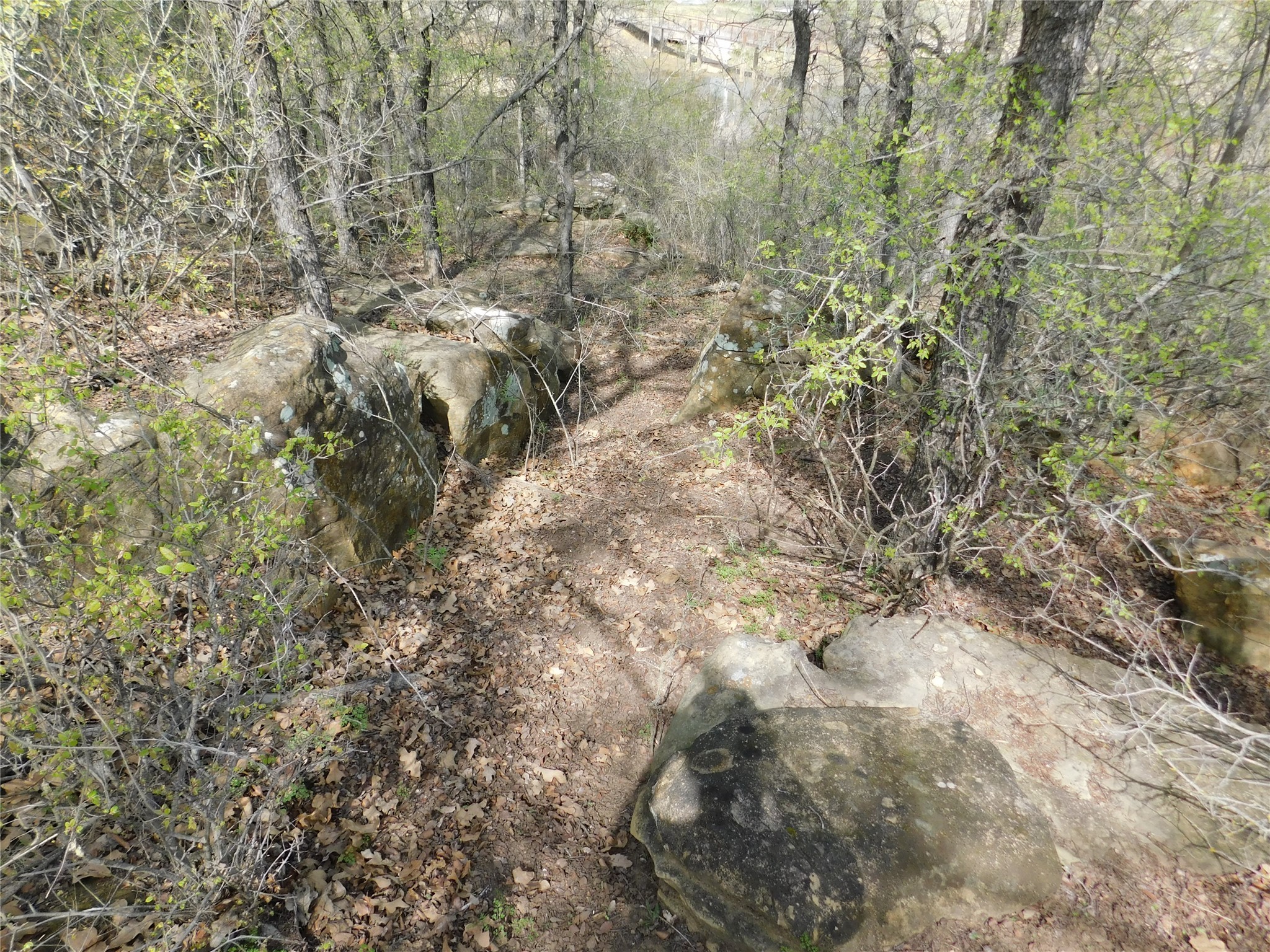 Tbd Fm 3003 Graham TX 76450