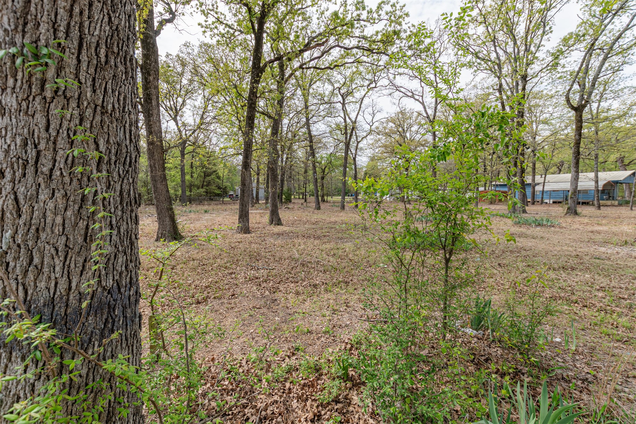 13995 E Travis Lane Log Cabin TX 75148