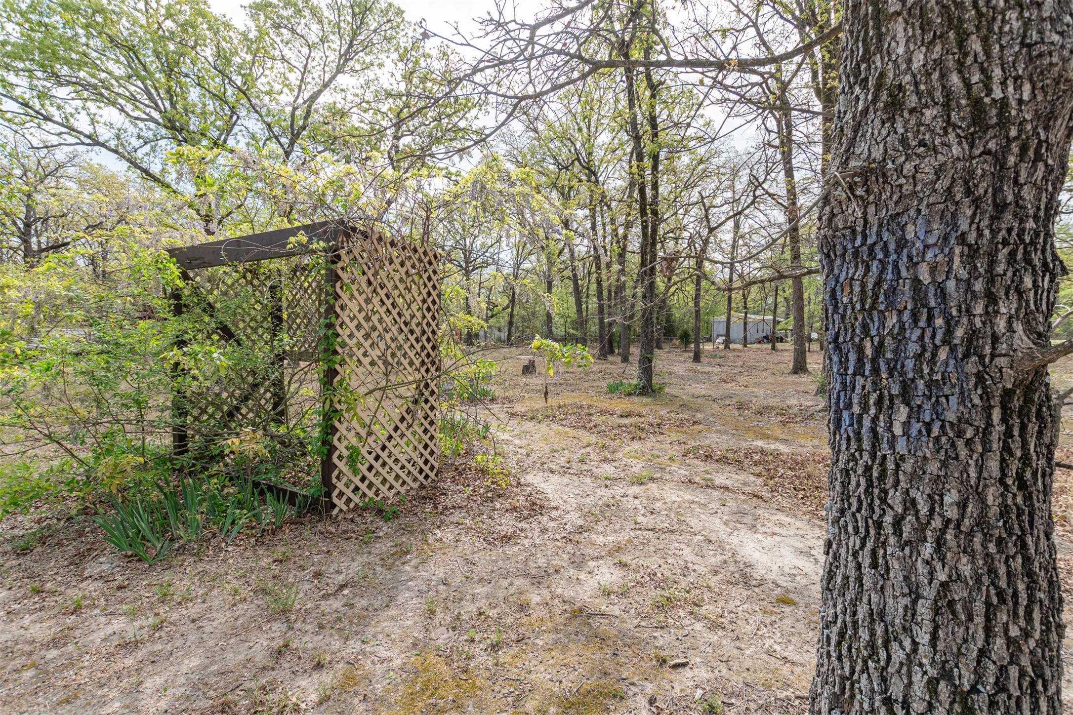 13995 E Travis Lane Log Cabin TX 75148