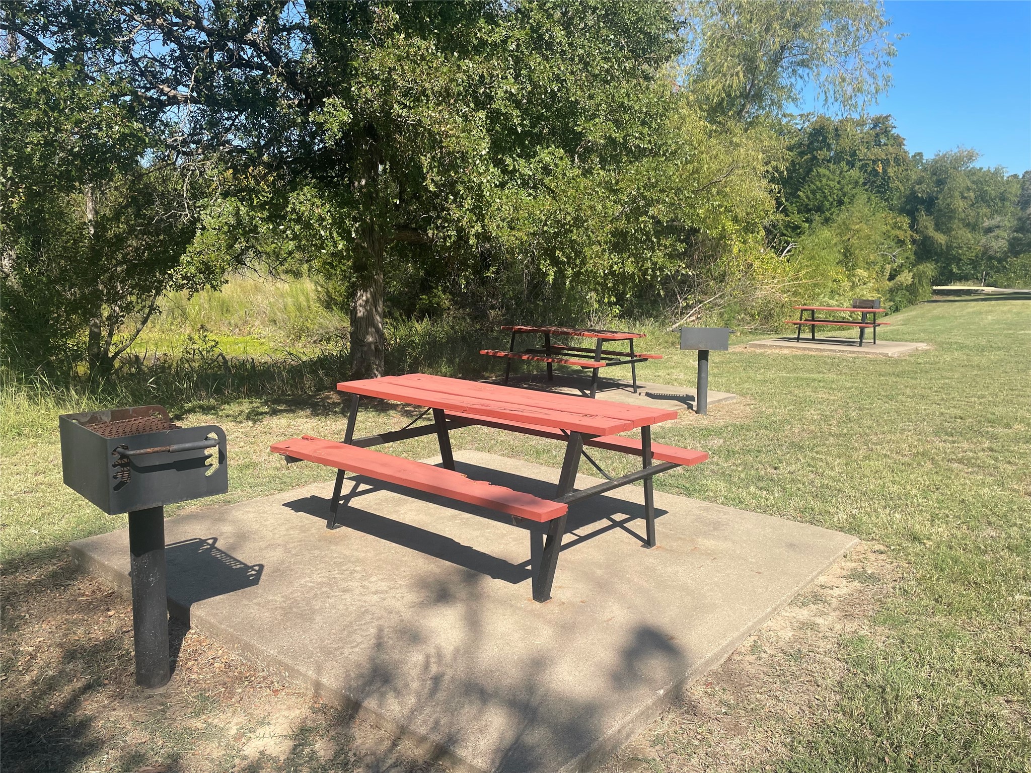 1068 White Bluff Drive Whitney TX 76692