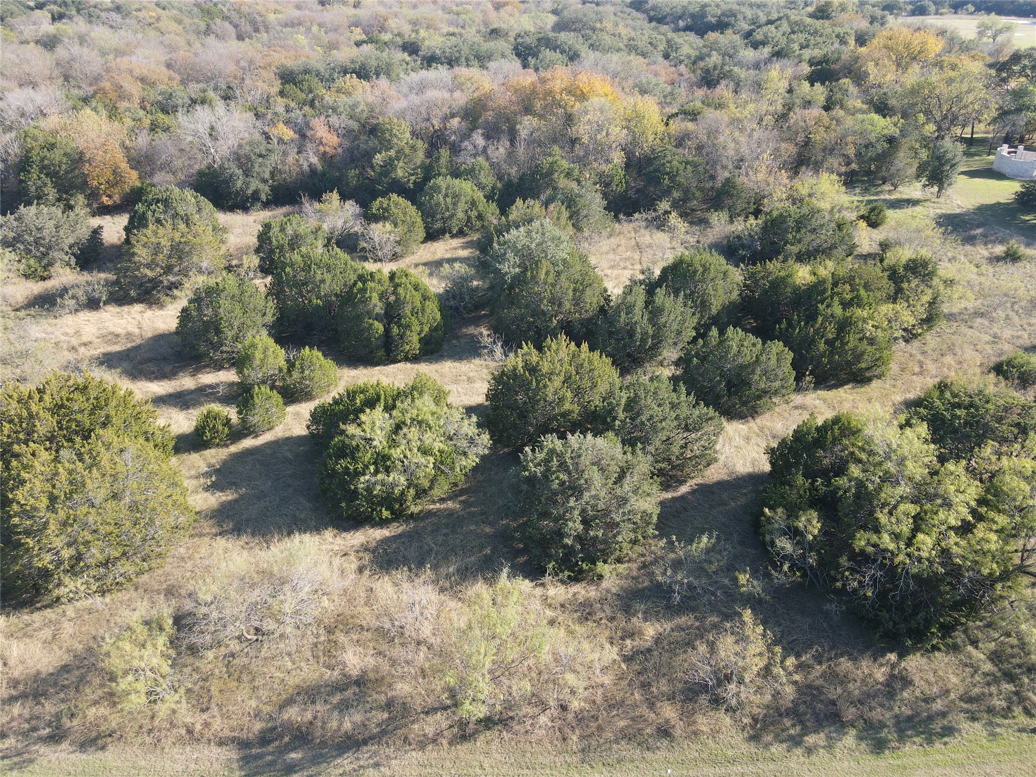 1068 White Bluff Drive Whitney TX 76692