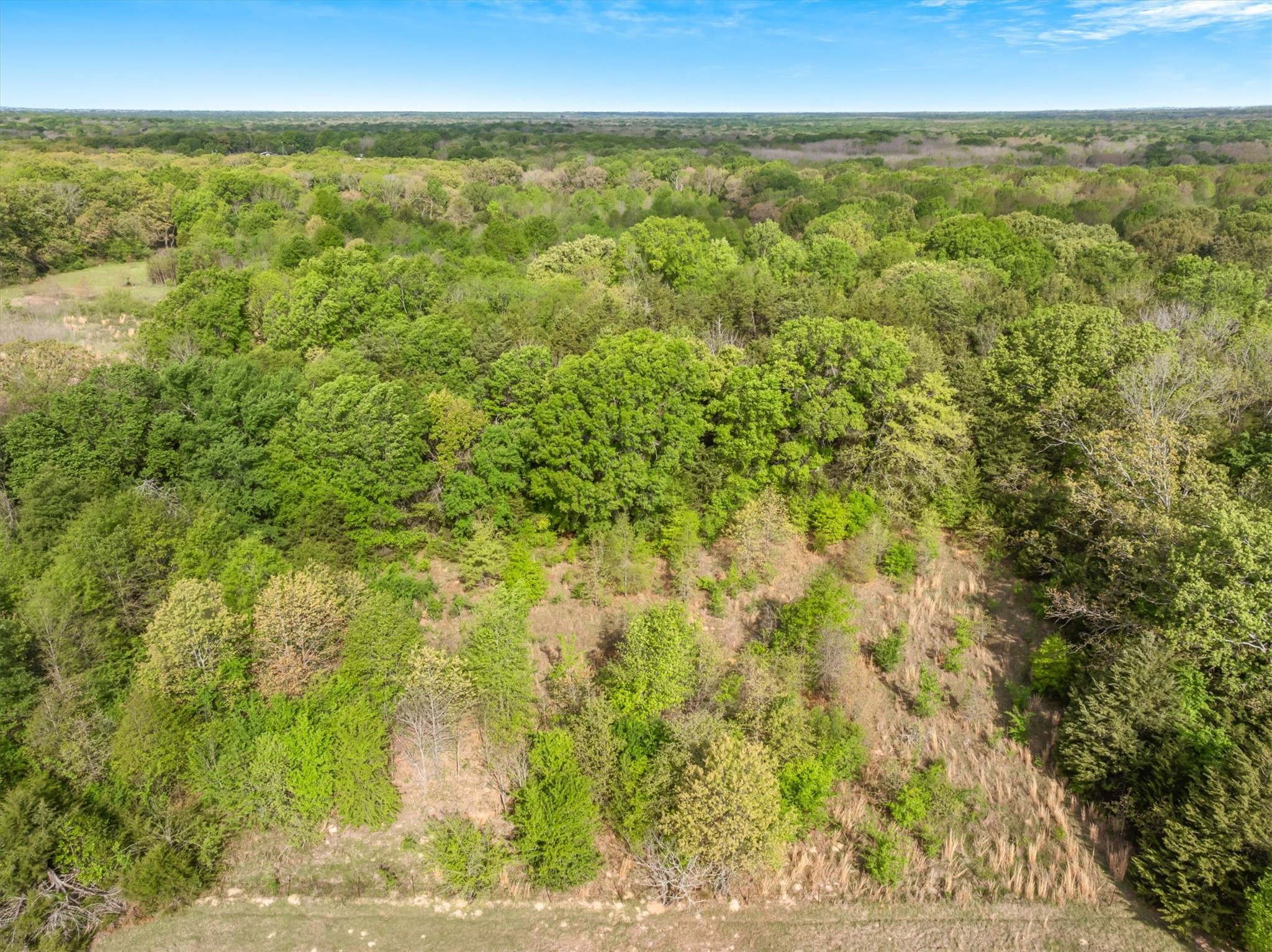 Tbd Sh 19 & Vzcr 1925 Edgewood TX 75117