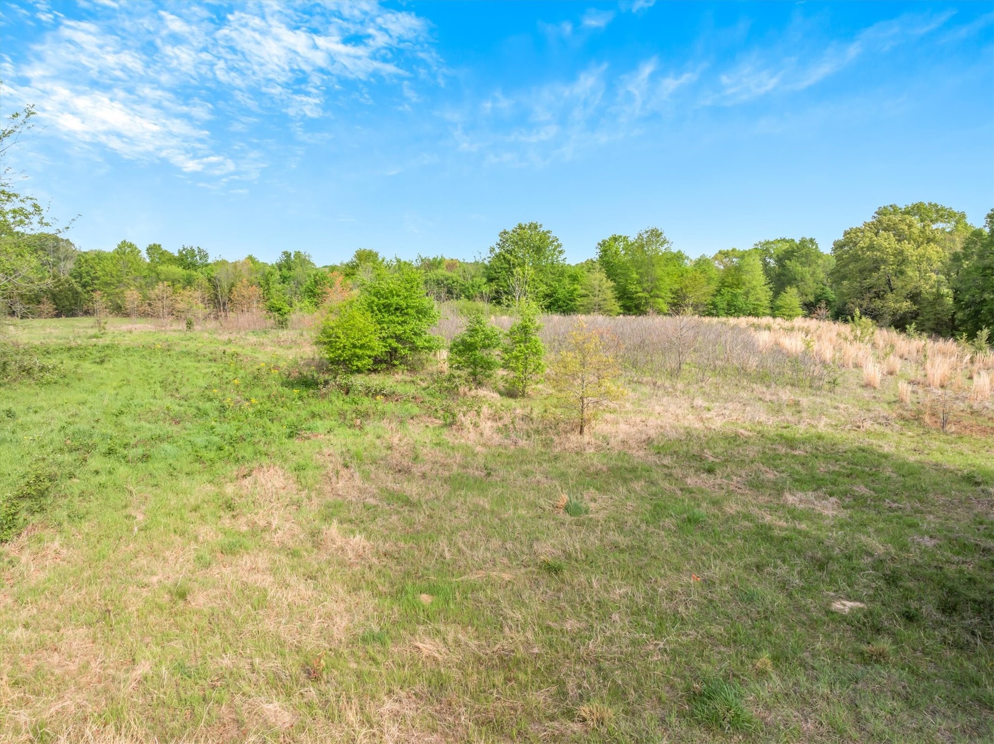 Tbd Sh 19 & Vzcr 1925 Edgewood TX 75117