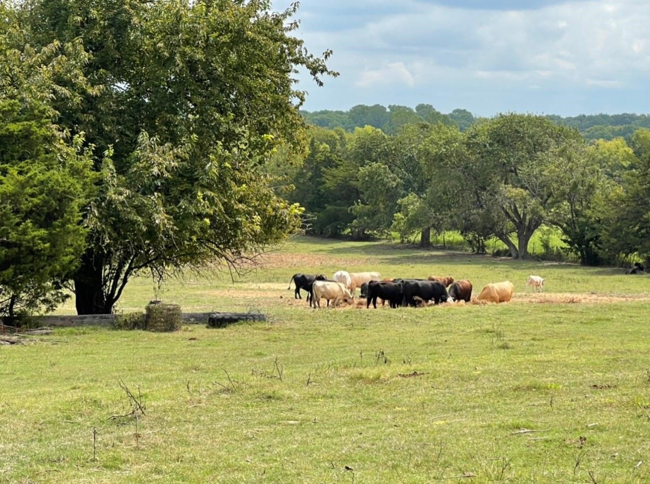 520 Cates Road Van Alstyne TX 75495