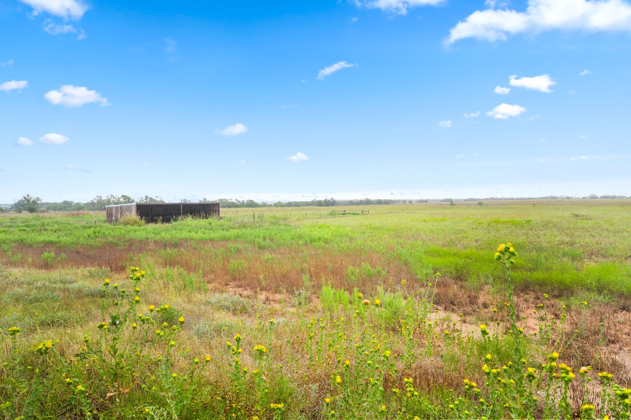 7756 County Road 241 Clyde TX 79510