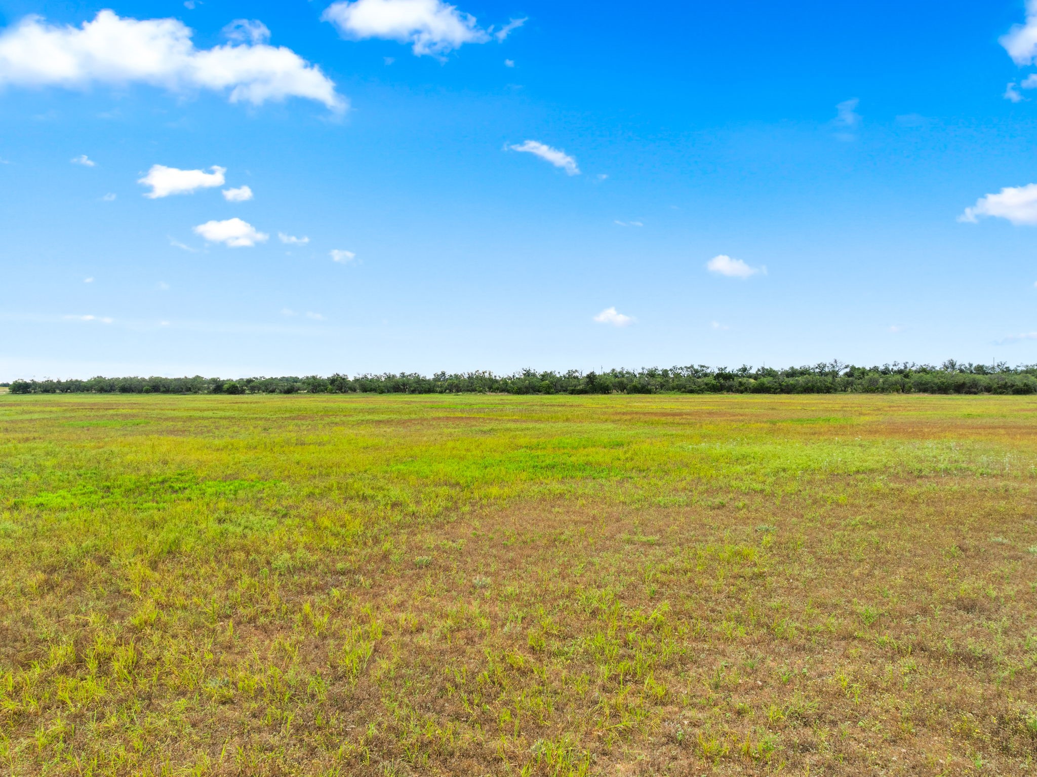 7756 County Road 241 Clyde TX 79510