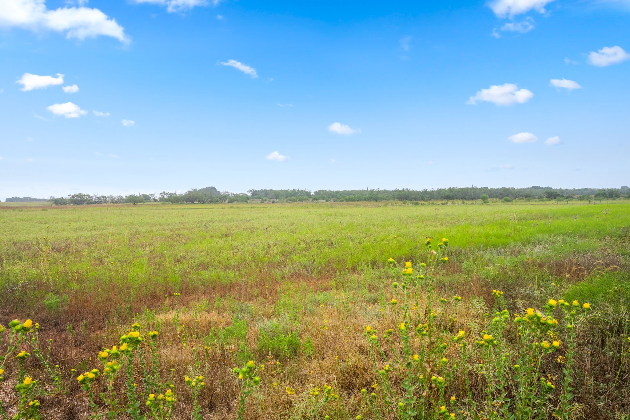 7756 County Road 241 Clyde TX 79510