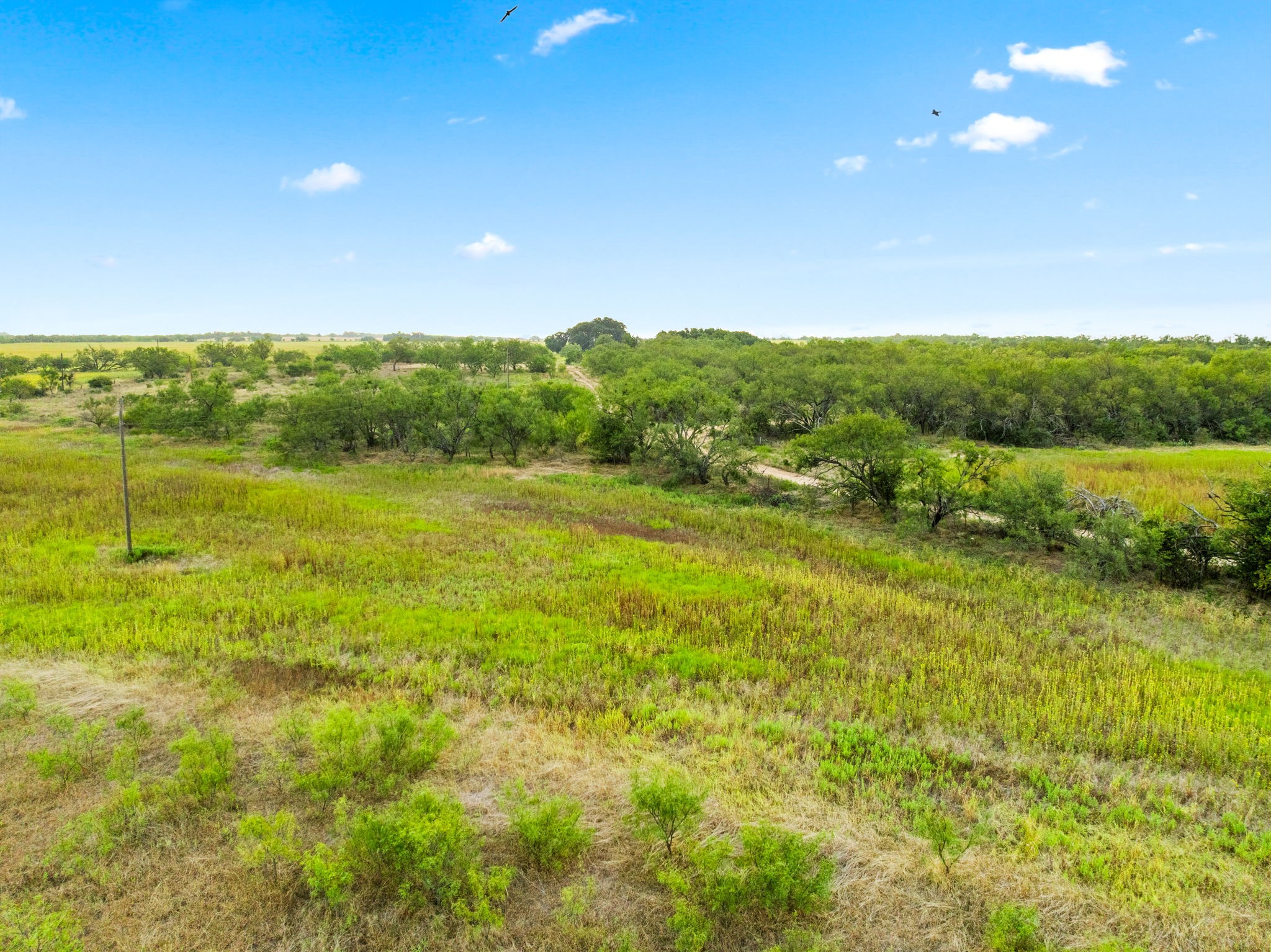 7756 County Road 241 Clyde TX 79510