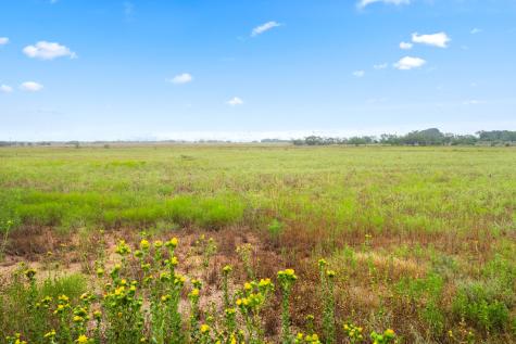 7756 County Road 241 Clyde TX 79510