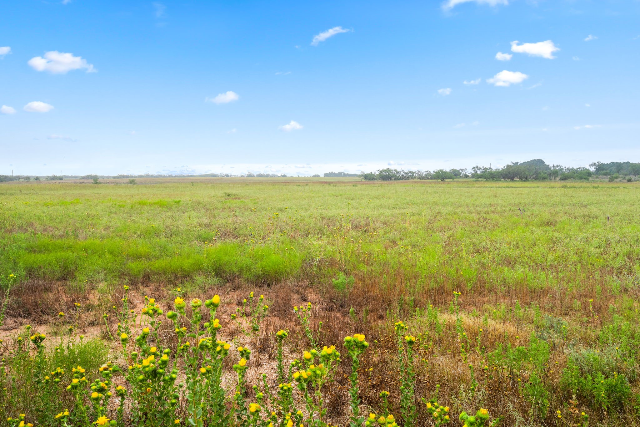 7756 County Road 241 Clyde TX 79510