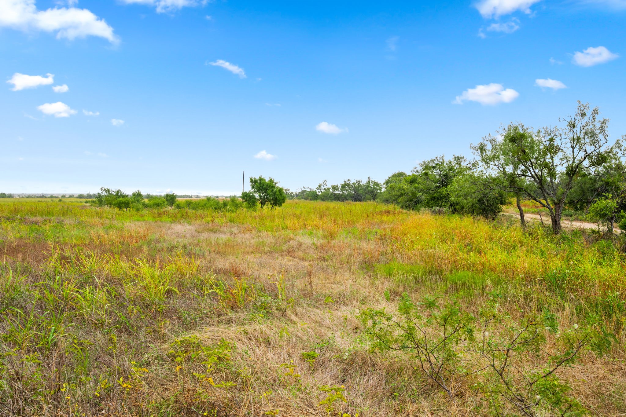 7756 County Road 241 Clyde TX 79510