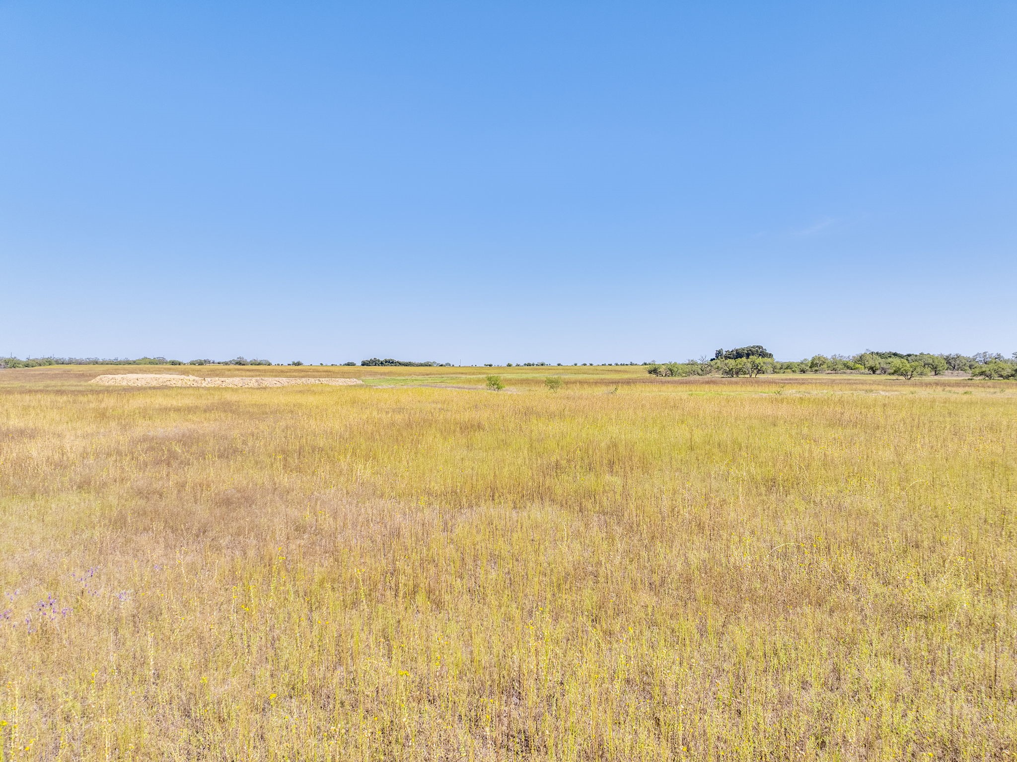 7756 County Road 241 Clyde TX 79510
