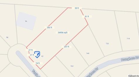 42 Turtle Point Lane Gordonville TX 76245