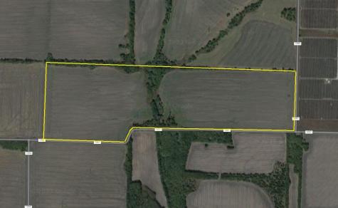 84 Ac County Road 1057 Greenville TX 75401
