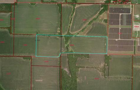 84 Ac County Road 1057 Greenville TX 75401