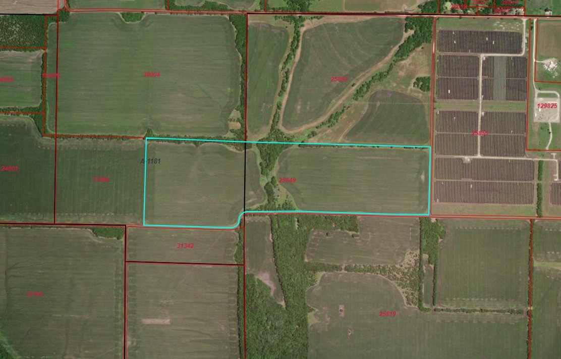 84 Ac County Road 1057 Greenville TX 75401