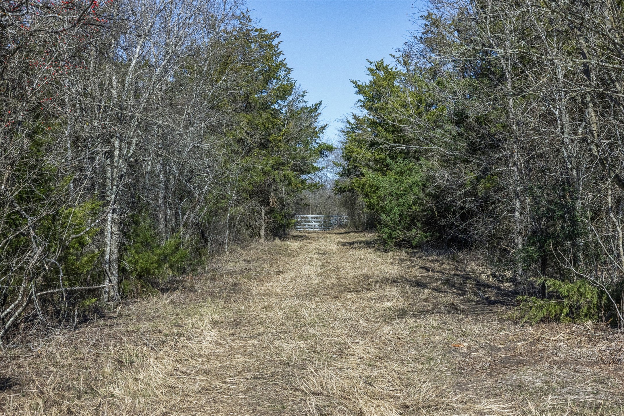 Tract 3 County Road 386 Groesbeck TX 76642
