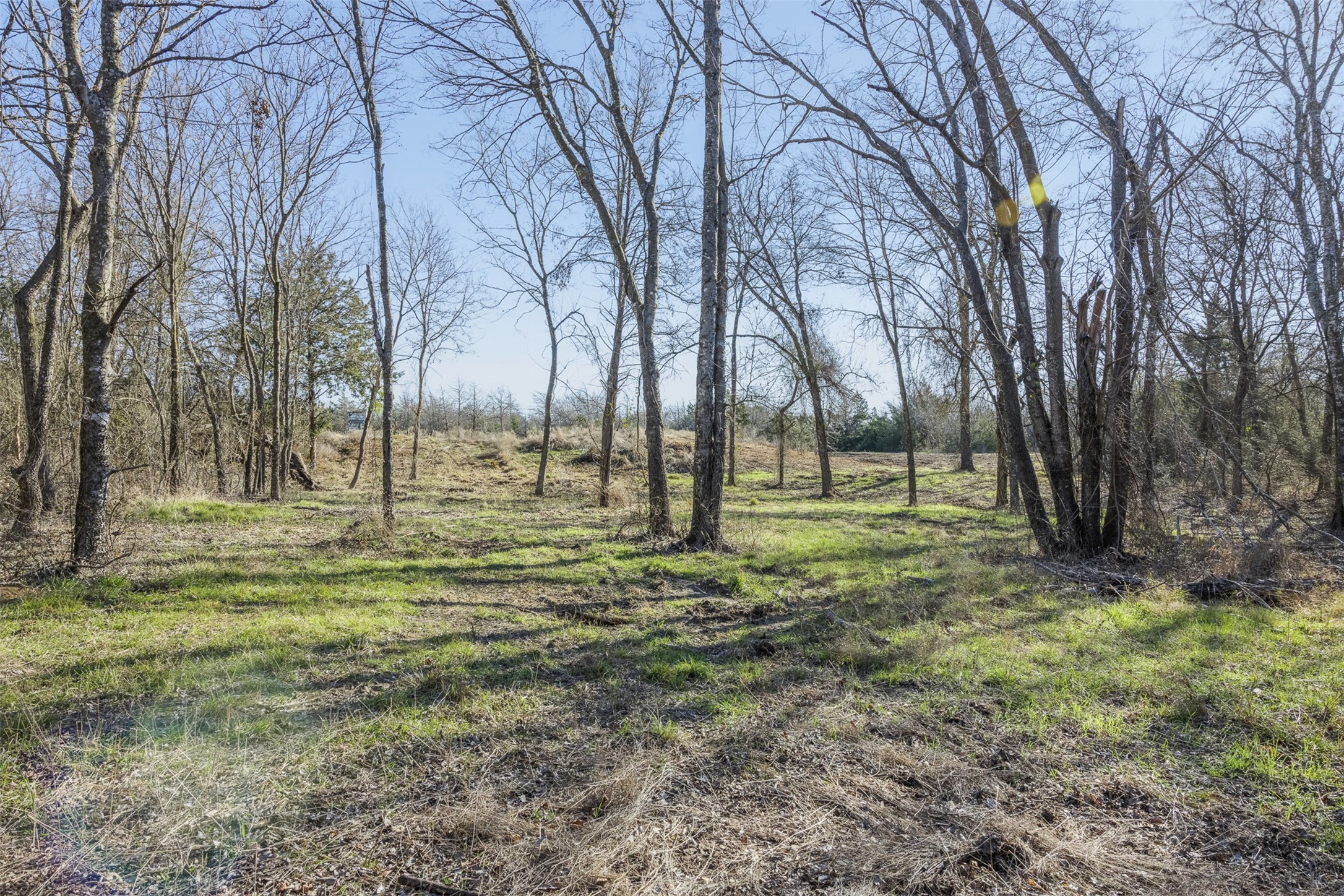 Tract 3 County Road 386 Groesbeck TX 76642
