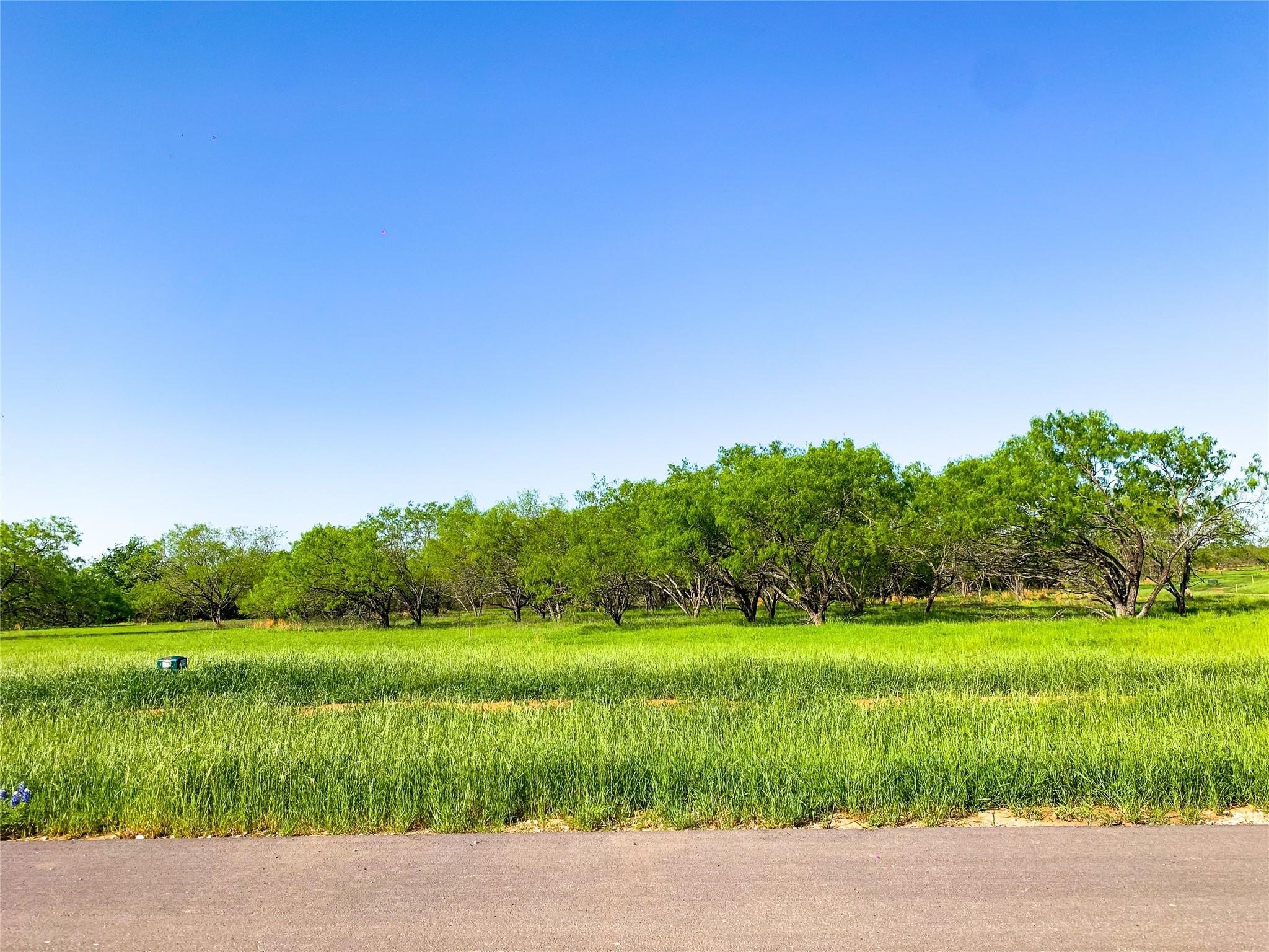 Lot 119 Peninsula Trail Corsicana TX 75109