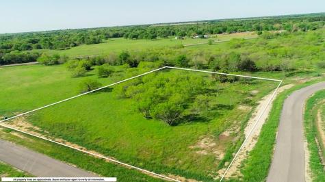 Lot 119 Peninsula Trail Corsicana TX 75109