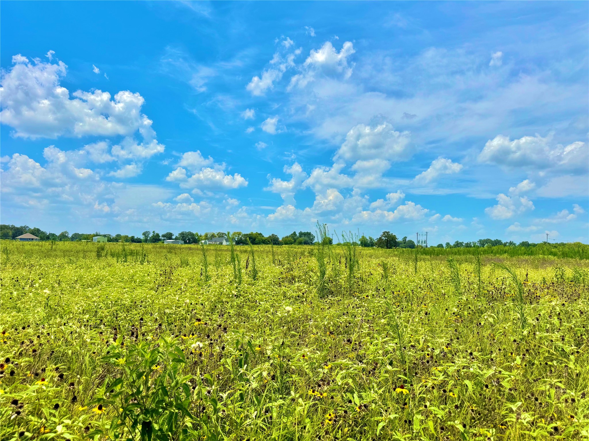 Tbd Tract 23 County Road 3644 Saltillo TX 75471