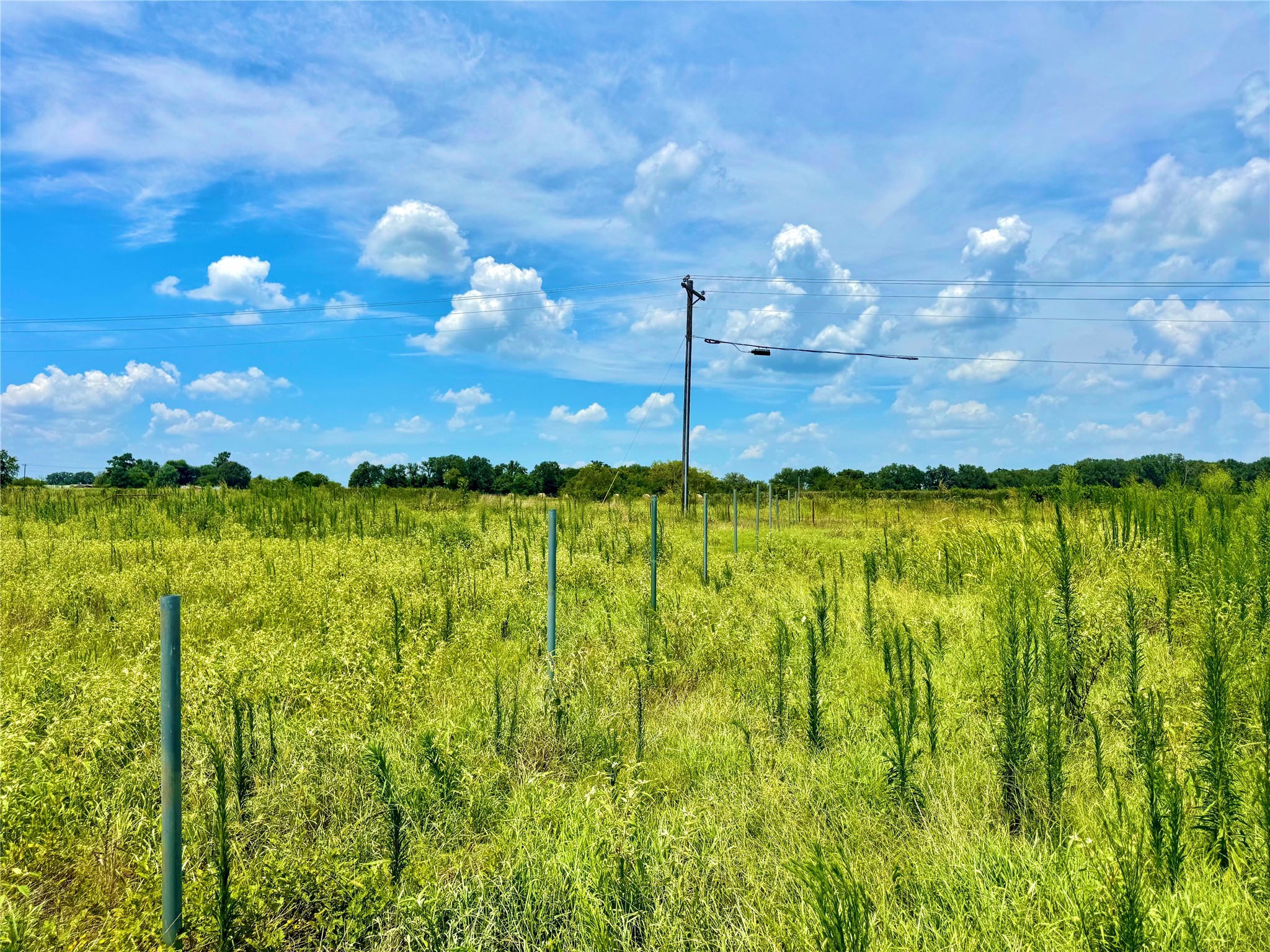 Tbd Tract 23 County Road 3644 Saltillo TX 75471
