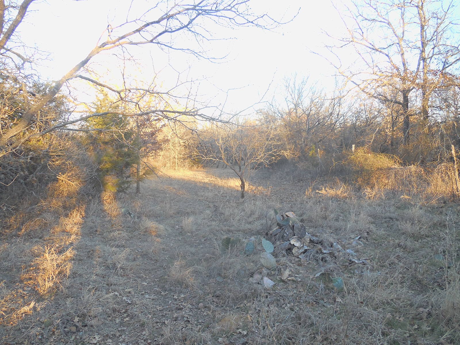 1300 Highway 571 Ranger TX 76470