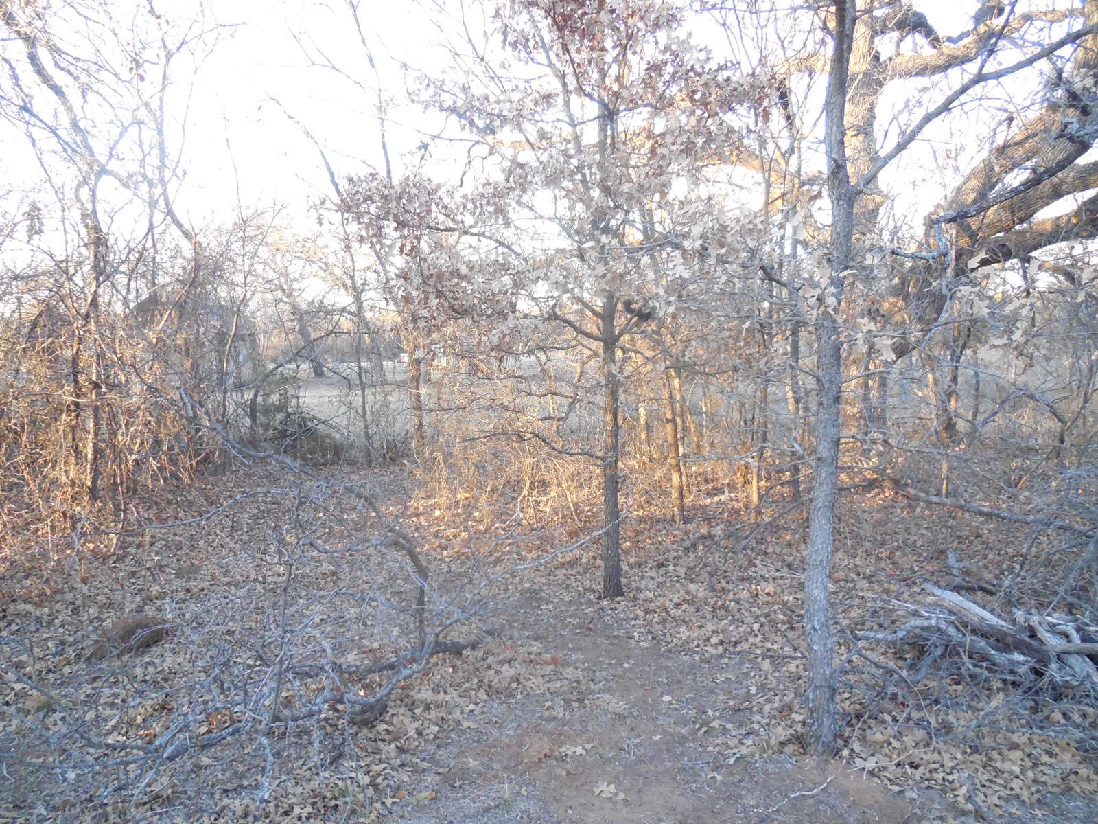 1300 Highway 571 Ranger TX 76470