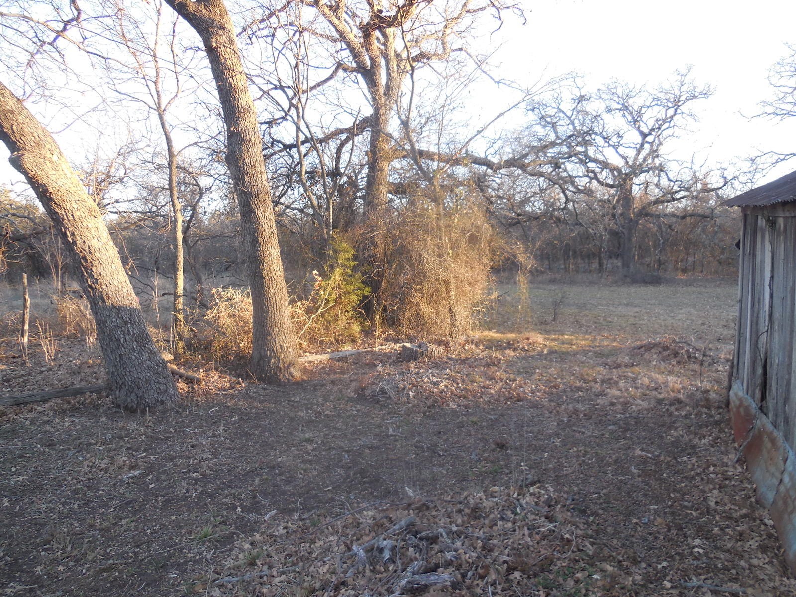 1300 Highway 571 Ranger TX 76470